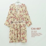 CAi-007 Outer Ceruti / Cerutty motif